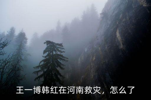 王一博韓紅在河南救災，怎么了