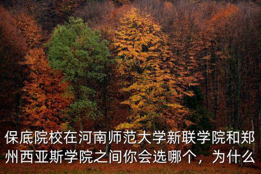 保底院校在河南師范大學(xué)新聯(lián)學(xué)院和鄭州西亞斯學(xué)院之間你會選哪個(gè)，為什么