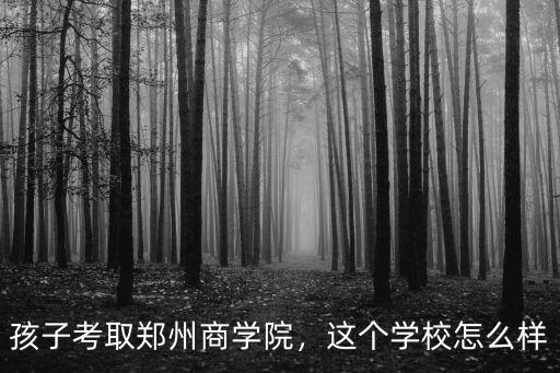 鄭州同盟學院怎么樣,黃河科技學院怎么樣