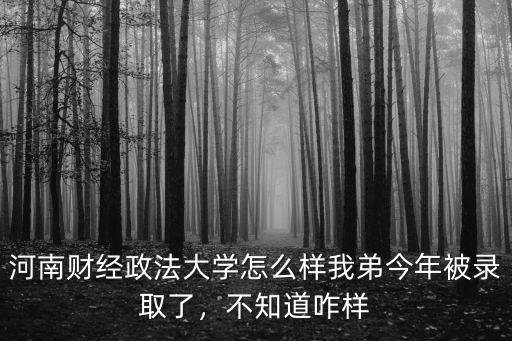 河南財經政法大學怎么樣我弟今年被錄取了，不知道咋樣