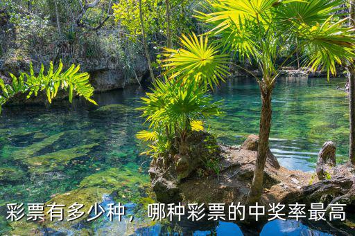 彩票有多少種，哪種彩票的中獎率最高