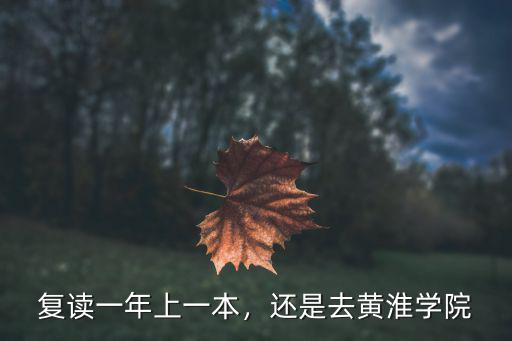 復讀一年上一本，還是去黃淮學院
