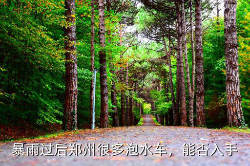 鄭州洪水過(guò)后泡水車(chē)去哪里了,鄭州暴雨過(guò)后