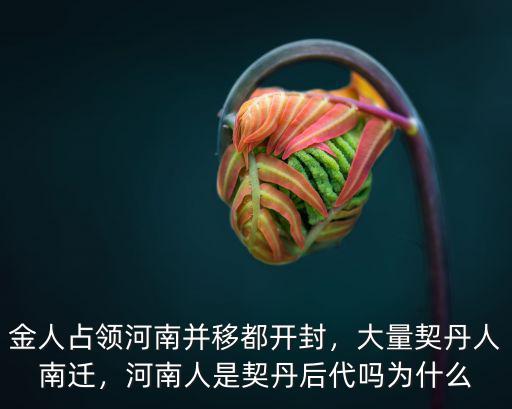 金人占領(lǐng)河南并移都開(kāi)封，大量契丹人南遷，河南人是契丹后代嗎為什么