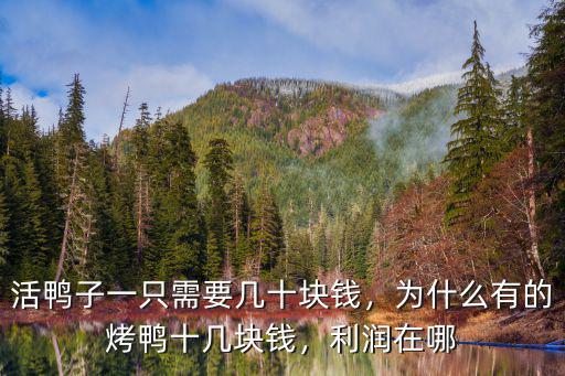 河南一只烤鴨多少錢,活鴨子一只需要幾十塊錢