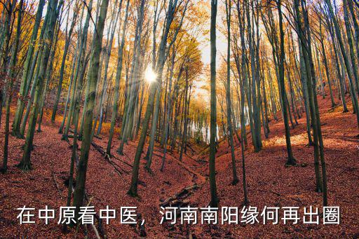 在中原看中醫(yī)，河南南陽緣何再出圈