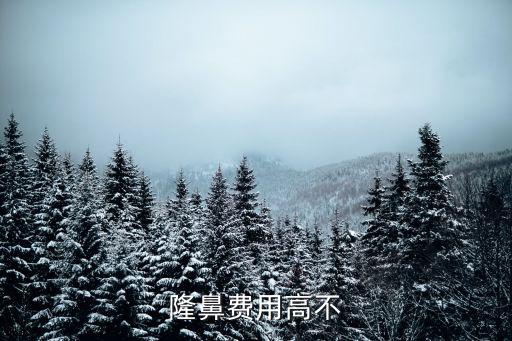 南陽隆鼻費用多少,大概需要多少費用