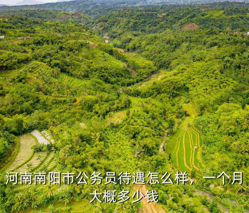 河南省公務員的車補多少錢,一個月大概多少錢