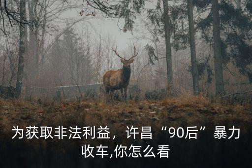 許昌收車(chē)怎么樣,許昌90后暴力收車(chē)