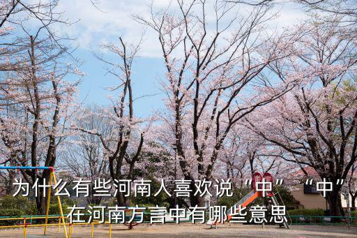 河南方言干嘛怎么說,河南有幾大方言