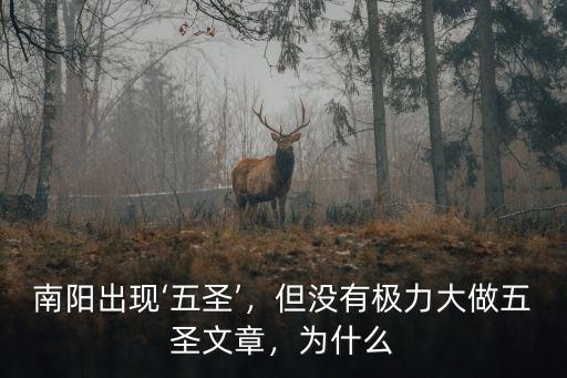 南陽出現‘五圣’，但沒有極力大做五圣文章，為什么