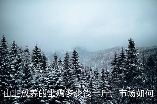 山上放養的土雞多少錢一斤，市場如何