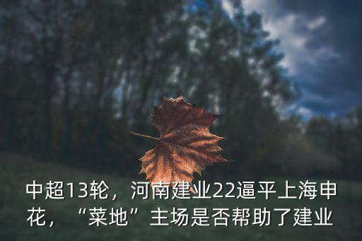 河南建業主場搬哪里去了,河南建業主場擊敗河北華夏