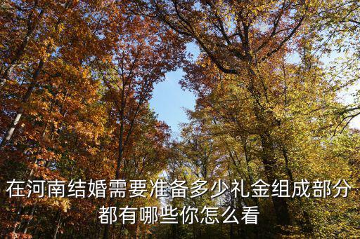駐馬店結婚一般行多少禮金,在河南結婚需要準備多少禮金