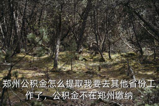 鄭州公積金怎么提取我要去其他省份工作了，公積金不在鄭州繳納