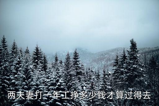 兩夫妻打一年工掙多少錢才算過得去