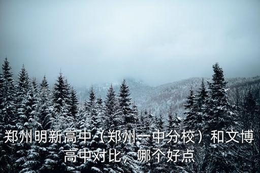 鄭州明新高中（鄭州一中分校）和文博高中對(duì)比，哪個(gè)好點(diǎn)