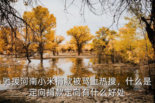 鄭浩南捐款多少給河南,司馬南給河南捐款了么