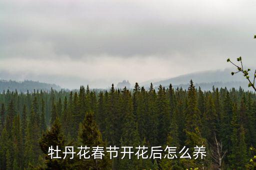 牡丹花春節開花后怎么養