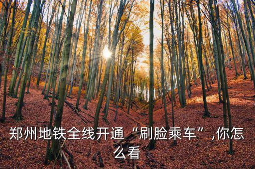 鄭州地鐵全線開通“刷臉乘車”,你怎么看
