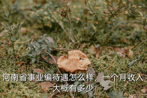 河南省事業編待遇怎么樣，一個月收入大概有多少
