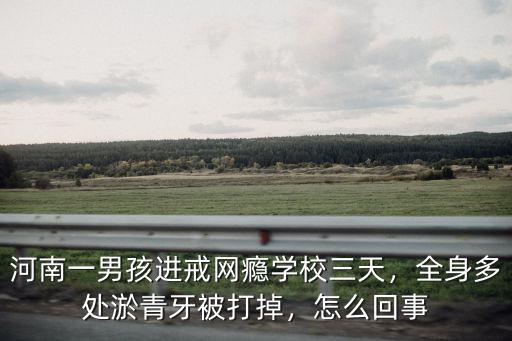 河南戒網癮學校怎么懲罰,河南戒網癮學校毆打學生時間