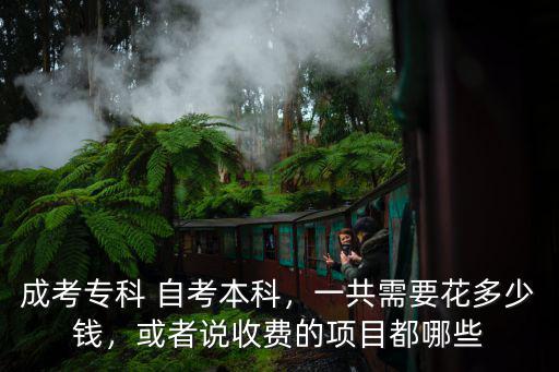 許昌大專自考報(bào)名費(fèi)多少錢,一共需要花多少錢