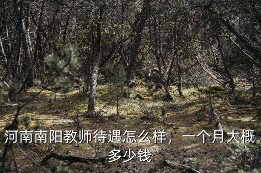 河南南陽教師待遇怎么樣，一個月大概多少錢