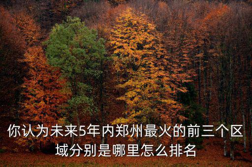 你認為未來5年內鄭州最火的前三個區域分別是哪里怎么排名