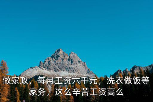 商丘的保姆每月工資多少,每月工資六千元
