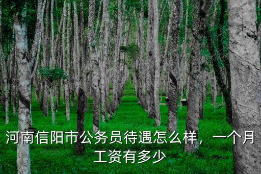 河南信陽市公務員待遇怎么樣，一個月工資有多少