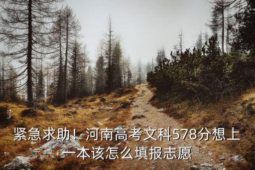 河南文科一本壓線生怎么填志愿,怎么填志愿能保證上個本科