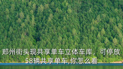 鄭州街頭現共享單車立體車庫，可停放58輛共享單車,你怎么看