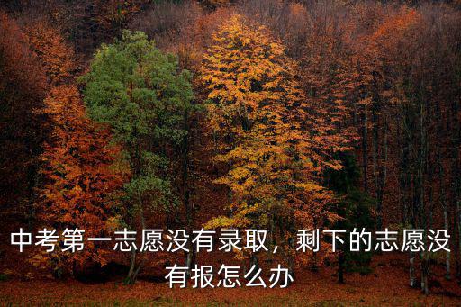 許昌高中第一志愿沒有錄取上要加多少分,中考第一志愿沒有錄取