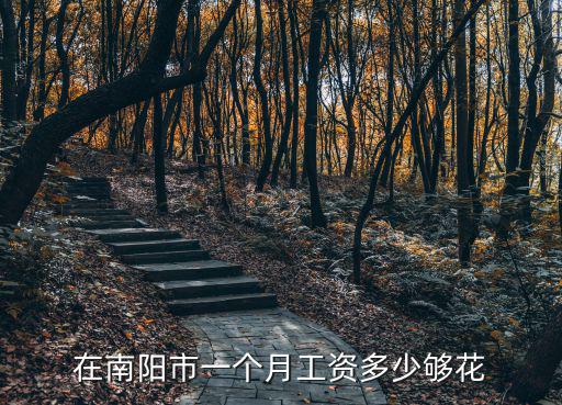 在南陽市一個月工資多少夠花