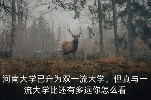 河南大學(xué)稅號(hào)怎么查,河南大學(xué)怎么樣
