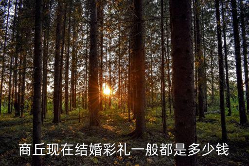 商丘現(xiàn)在結(jié)婚彩禮一般都是多少錢