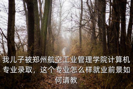 我兒子被鄭州航空工業管理學院計算機專業錄取，這個專業怎么樣就業前景如何請教