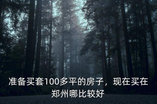 準備買套100多平的房子，現在買在鄭州哪比較好