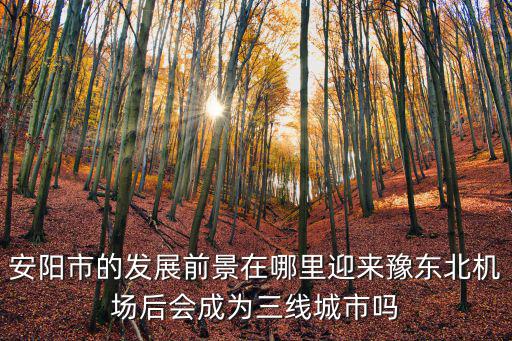 安陽市的發(fā)展前景在哪里迎來豫東北機(jī)場(chǎng)后會(huì)成為三線城市嗎