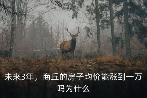 未來3年，商丘的房子均價能漲到一萬嗎為什么