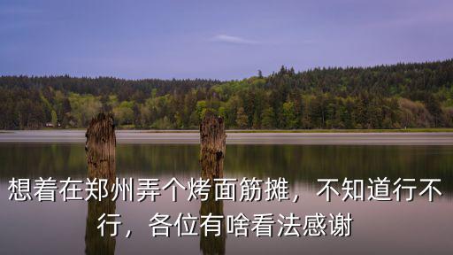 想著在鄭州弄個烤面筋攤，不知道行不行，各位有啥看法感謝