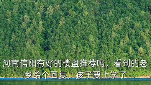 河南信陽(yáng)有好的樓盤(pán)推薦嗎，看到的老鄉(xiāng)給個(gè)回復(fù)，孩子要上學(xué)了