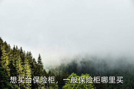 想買臺保險柜，一般保險柜哪里買