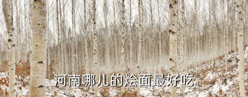 孫橋鎮上哪里有河南燴面館,想開一個河南燴面館