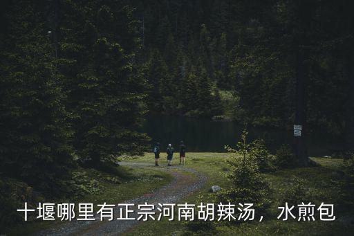 十堰哪里有正宗河南胡辣湯，水煎包