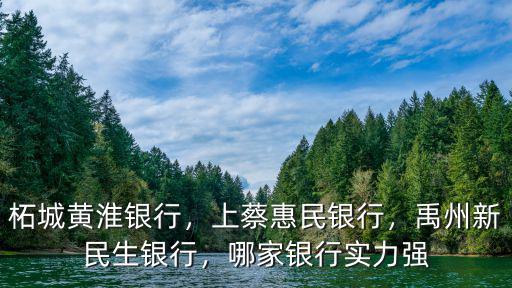 河南上蔡惠民村鎮銀行怎么樣,上蔡惠民銀行