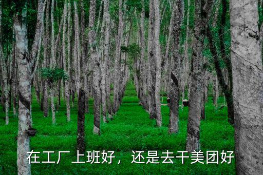 在工廠上班好，還是去干美團好