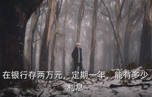 在銀行存兩萬元，定期一年，能有多少利息