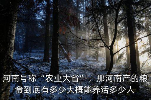 河南號稱“農(nóng)業(yè)大省”，那河南產(chǎn)的糧食到底有多少大概能養(yǎng)活多少人